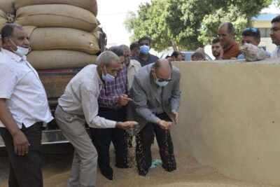 شركة مطاحن مصر العليا