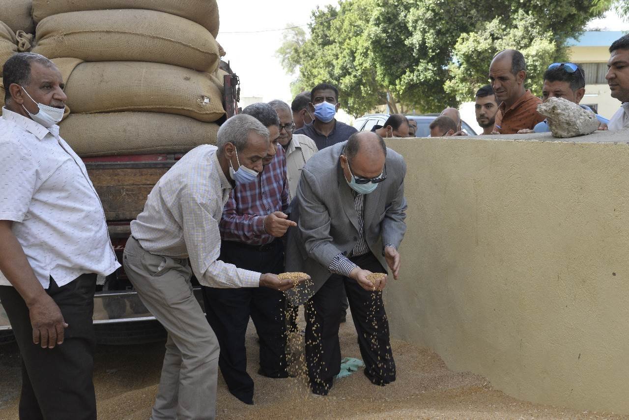 شركة مطاحن مصر العليا