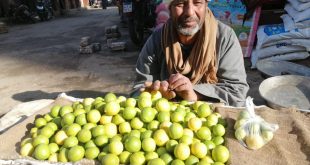 بائع الليمون في نجع حمادي