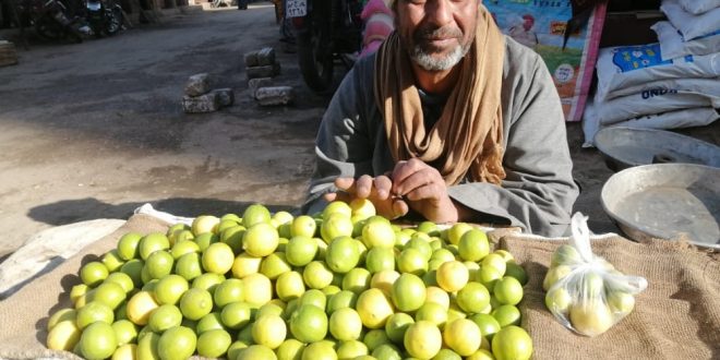 بائع الليمون في نجع حمادي