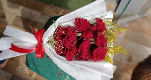 الورد في نجع حمادي هدايا الفلانتين