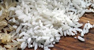 أسعار الأرز في مصر