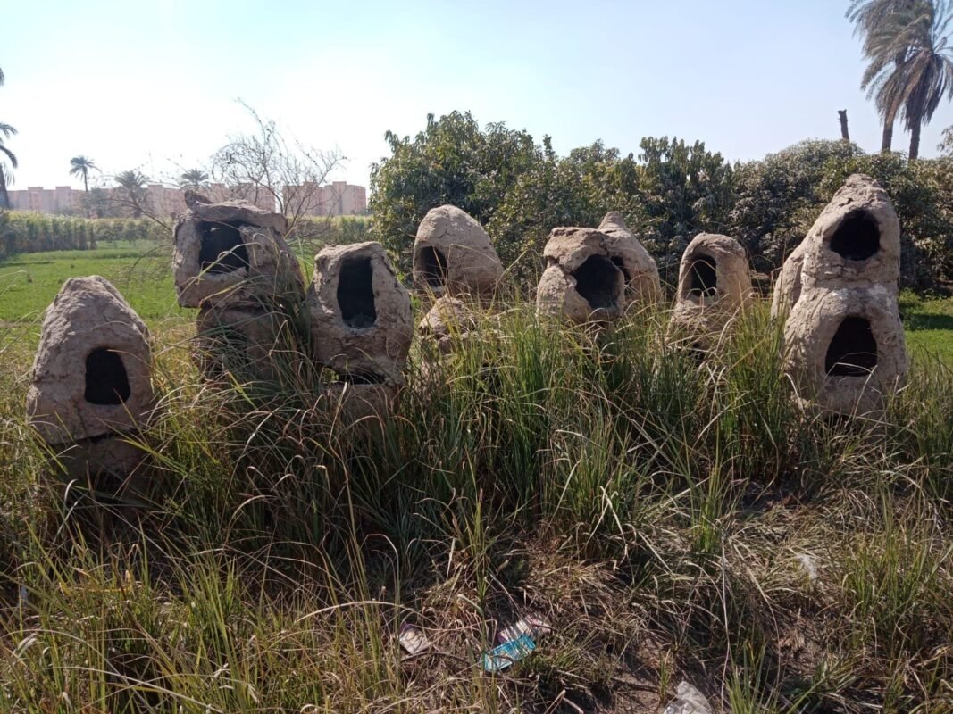 الشيخ المعداوي في نجع حمادي