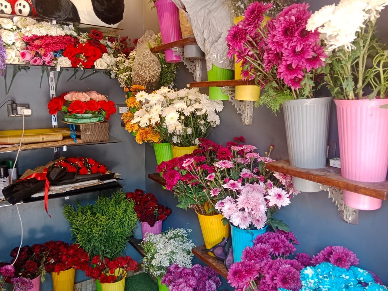 الورد في عيد الحب نجع حمادي