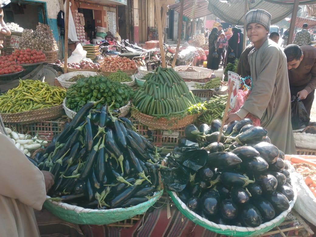 الخضروات والفاكهة بنجع حمادي
