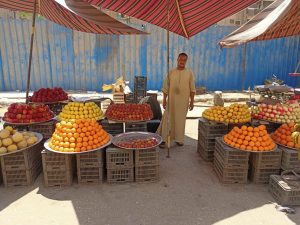 أسعار الخضروات والفاكهة نجع حمادي