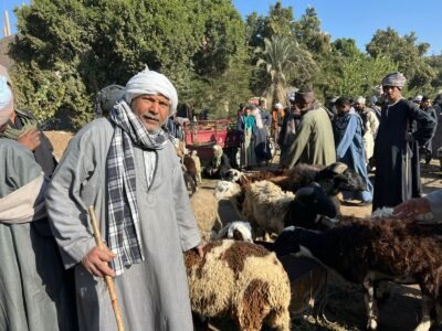 مهنة "العساس" في نجع حمادي