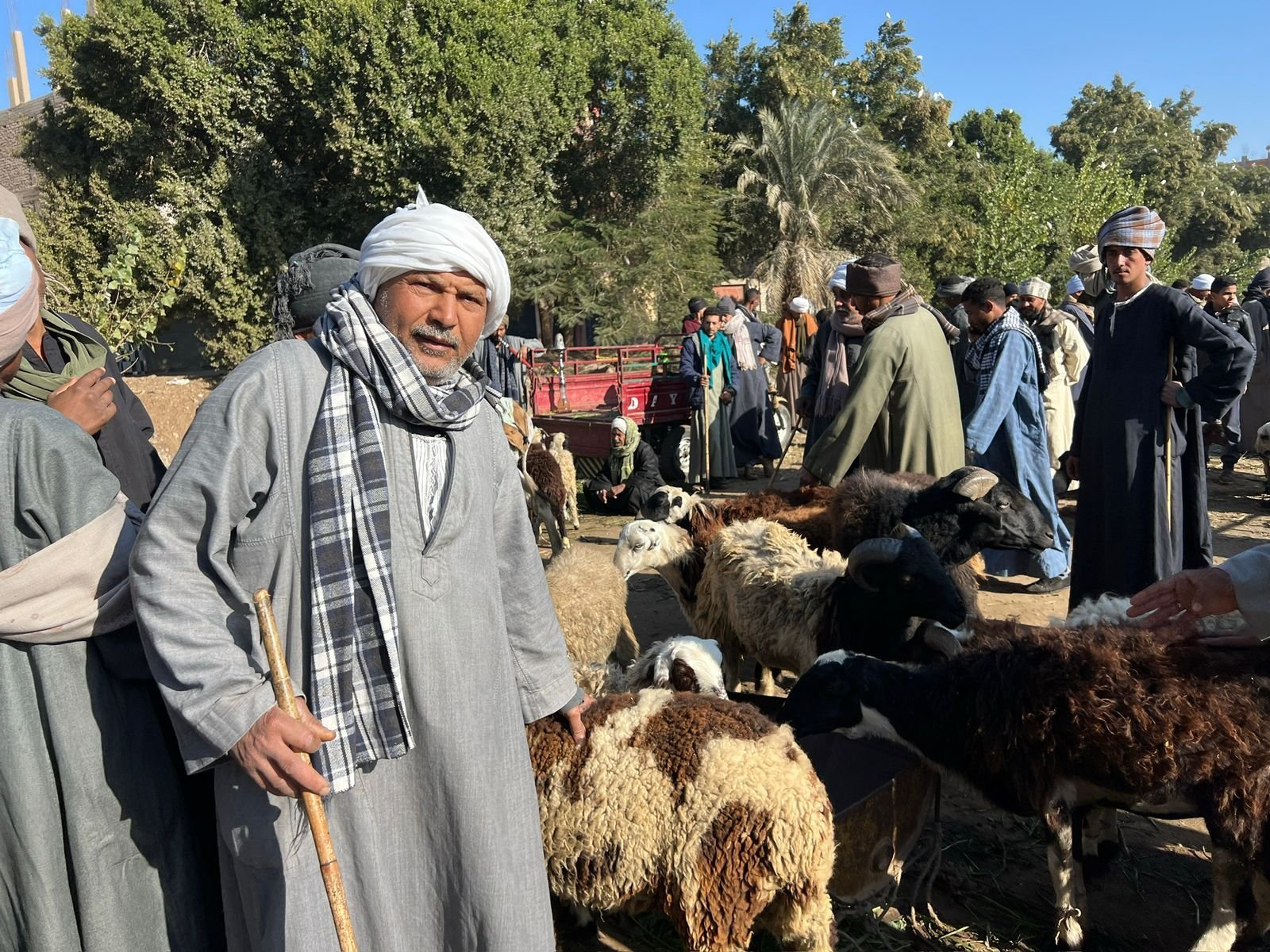 مهنة "العساس" في نجع حمادي