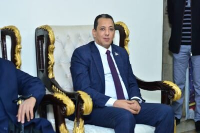 النائب أسامة الهوارى عضو مجلس الشيوخ