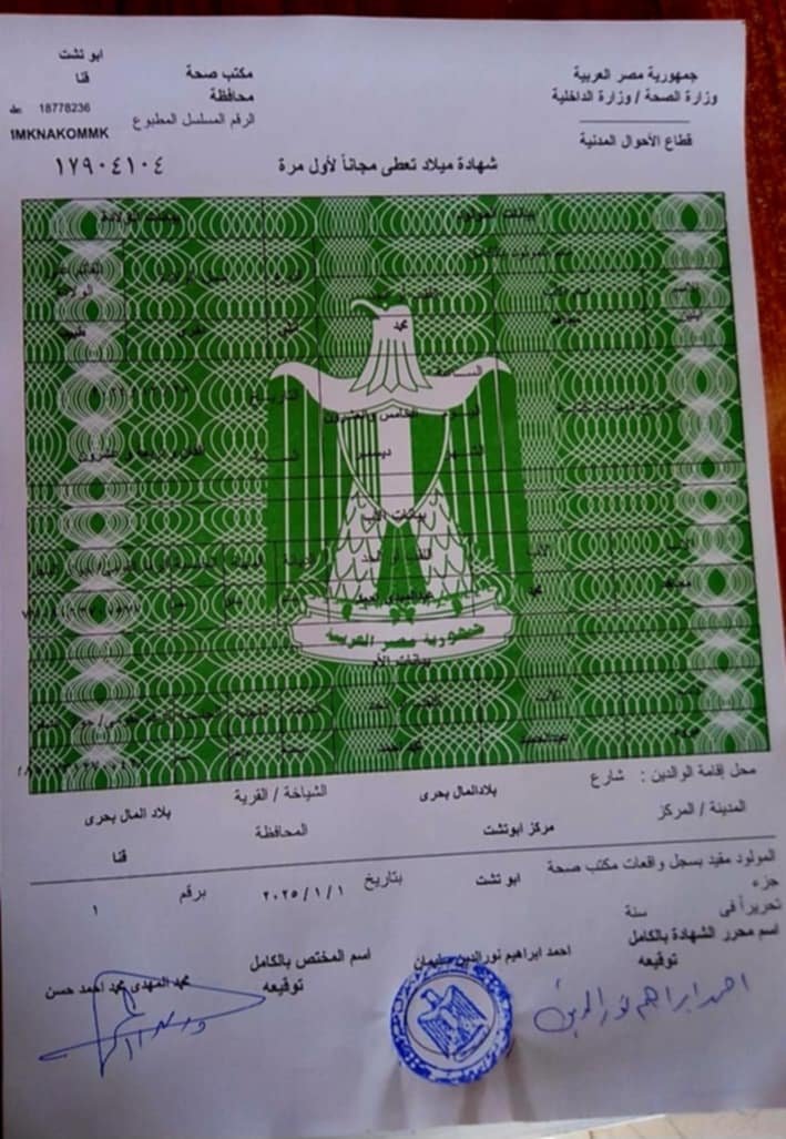 أول مولودة في مصر عام 2025