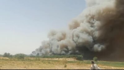 حريق الغابات الشجرية في بالجبلاو