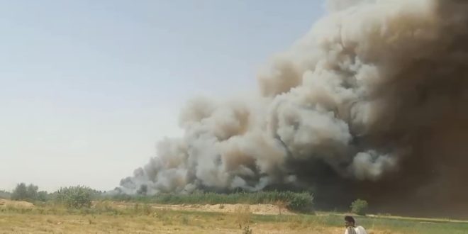 حريق الغابات الشجرية في بالجبلاو