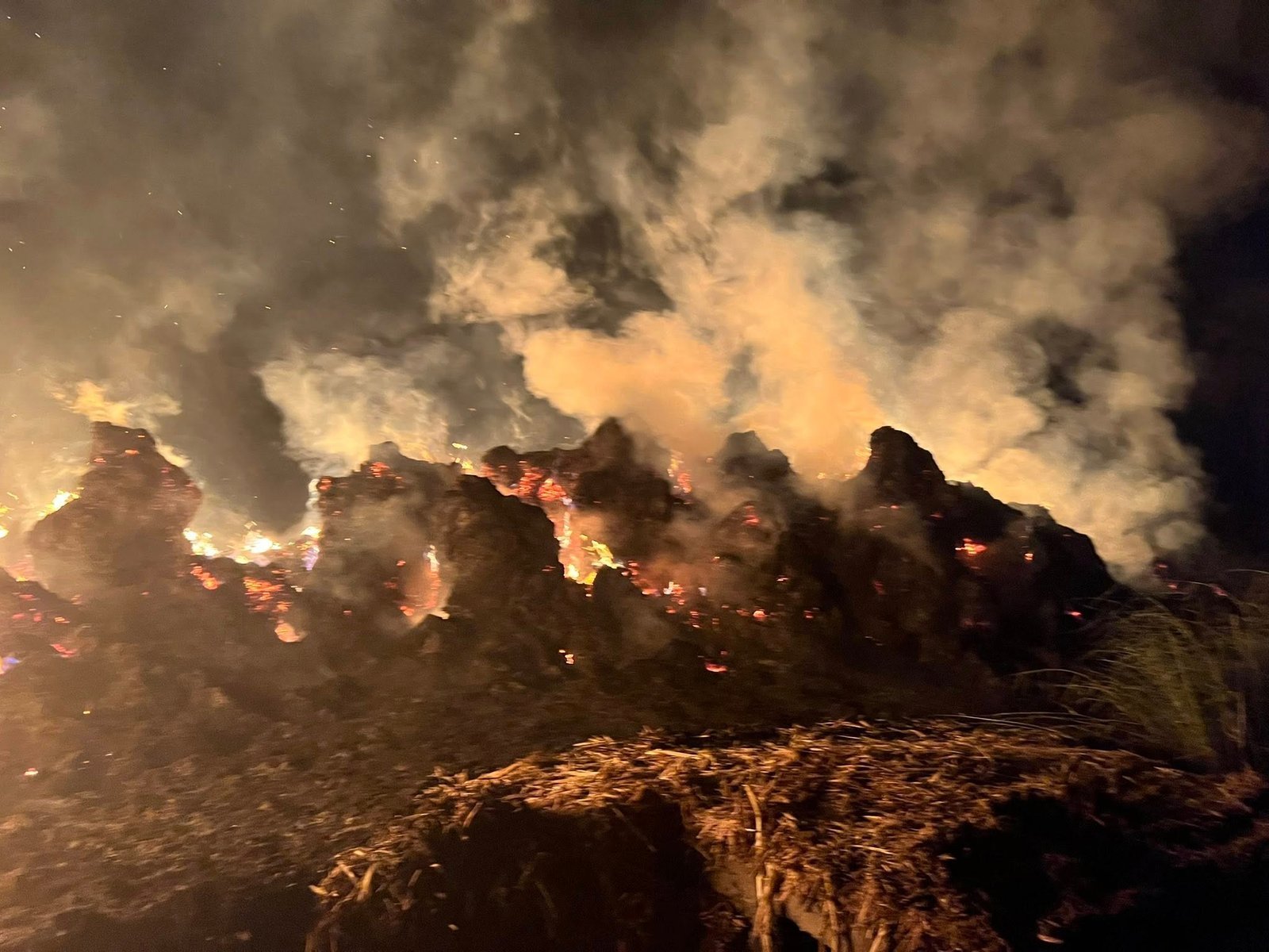 حريق داخل عصارة عسل أسود