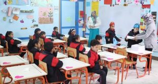 المدارس المصرية اليابانية