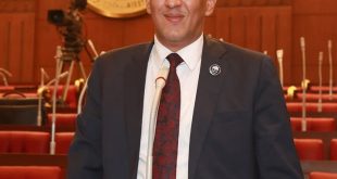 النائب أسامة الهواري