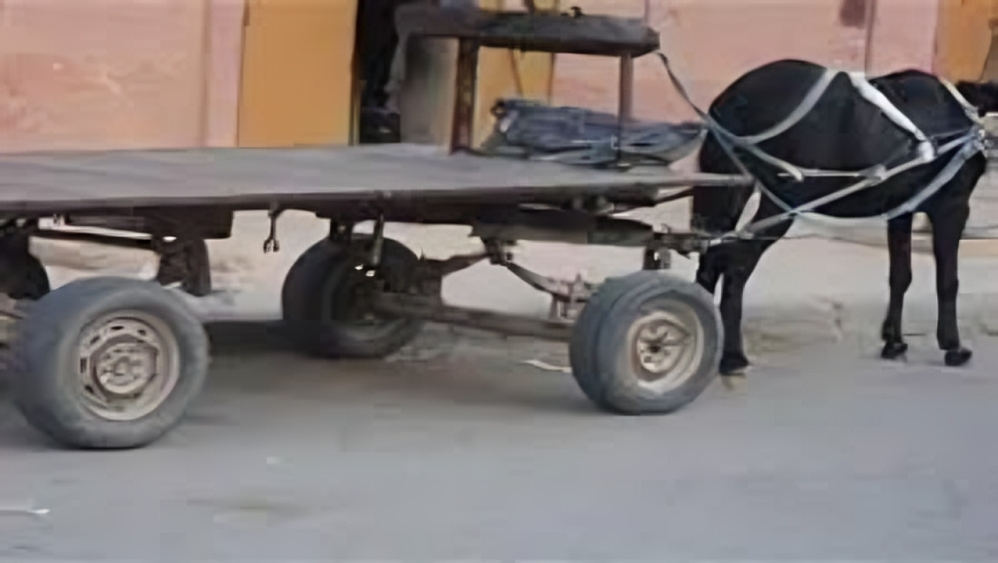 سقوط من عربة كارو_صورة أرشيفية