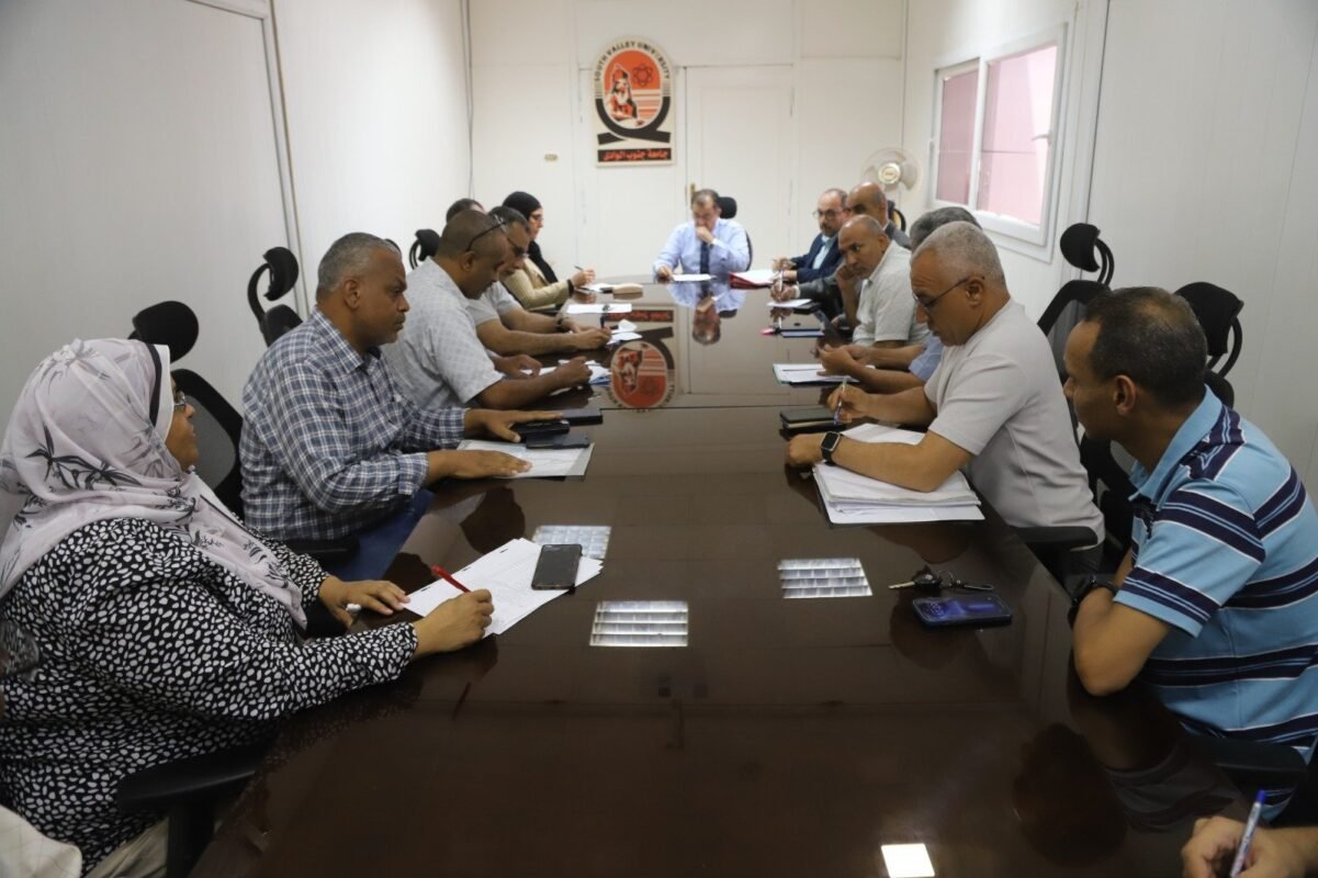 الدكتور أحمد عكاوي، رئيس جامعة جنوب الوادي