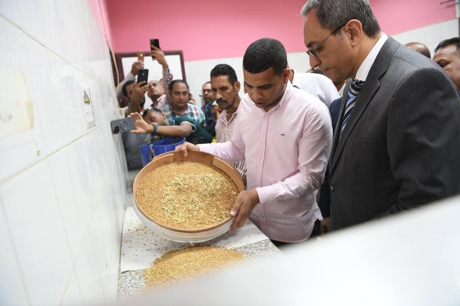 موسم توريد القمح قنا 2025