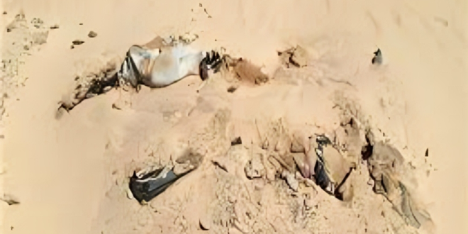 جثة_صورة أرشيفية