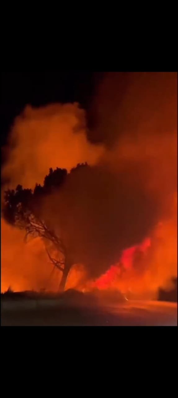 حريق يلتهم زراعات مجاورة لطريق قنا – قفط الزراعي