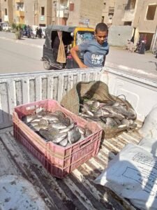 ضبط كميات من الأسماك غير الصالحة في فرشوط