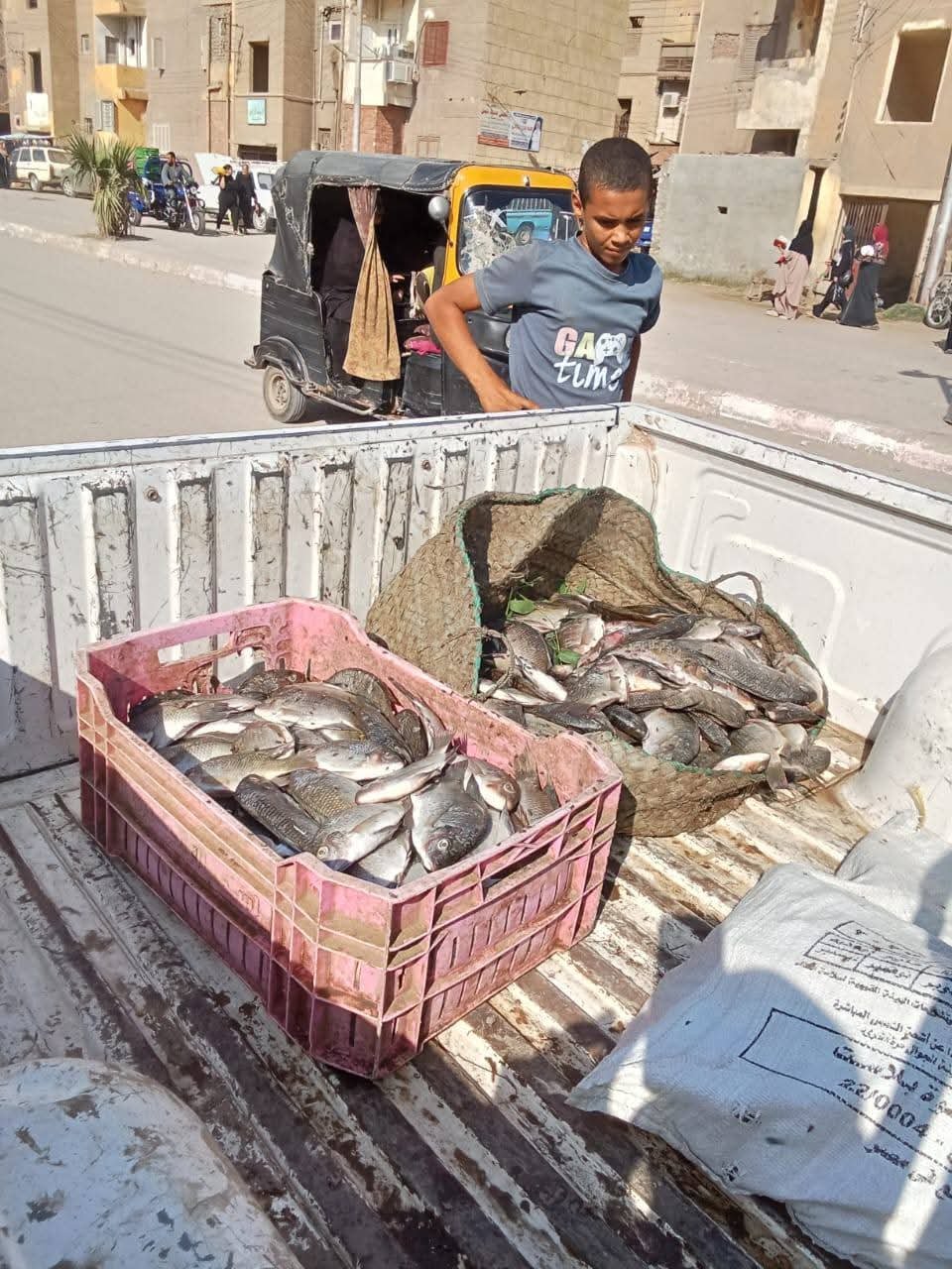 ضبط كميات من الأسماك غير الصالحة في فرشوط