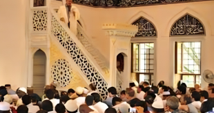 أرشيفية