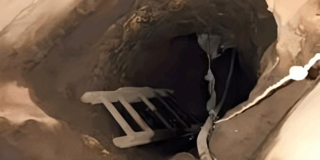 حفرة للتنقيب عن الآثار_أرشيفية