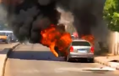 ارشيفية