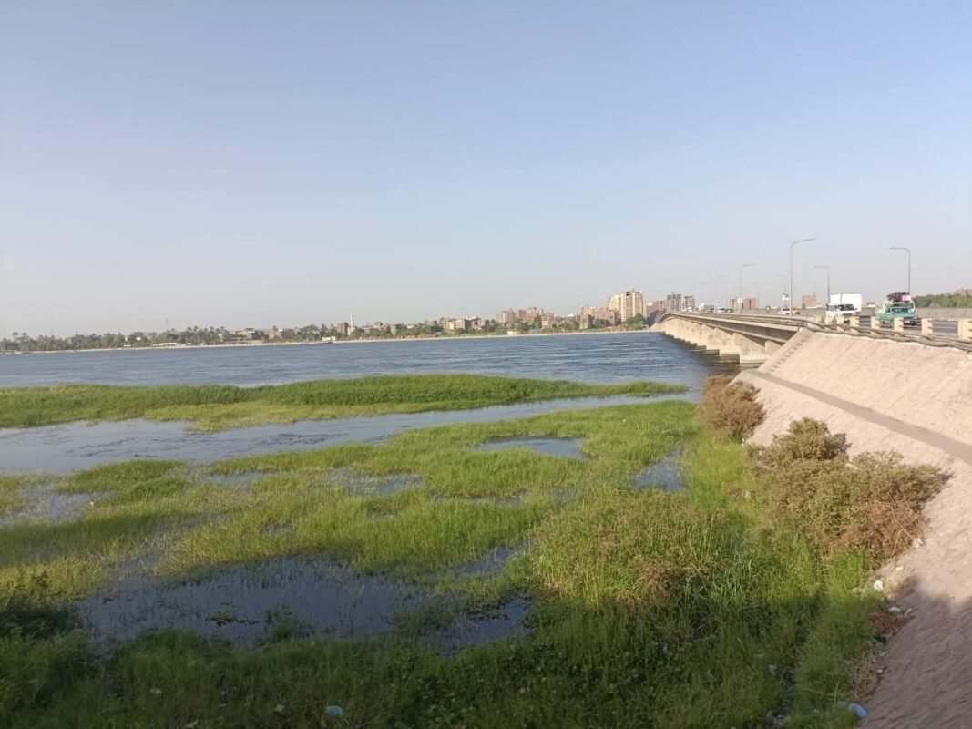 أراضي طرح النيل بقنا