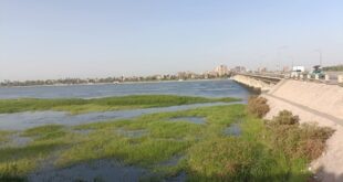 أراضي طرح النيل بقنا