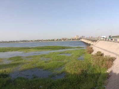 أراضي طرح النيل بقنا