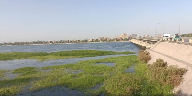 أراضي طرح النيل بقنا