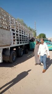 حملات موسعة بقنا