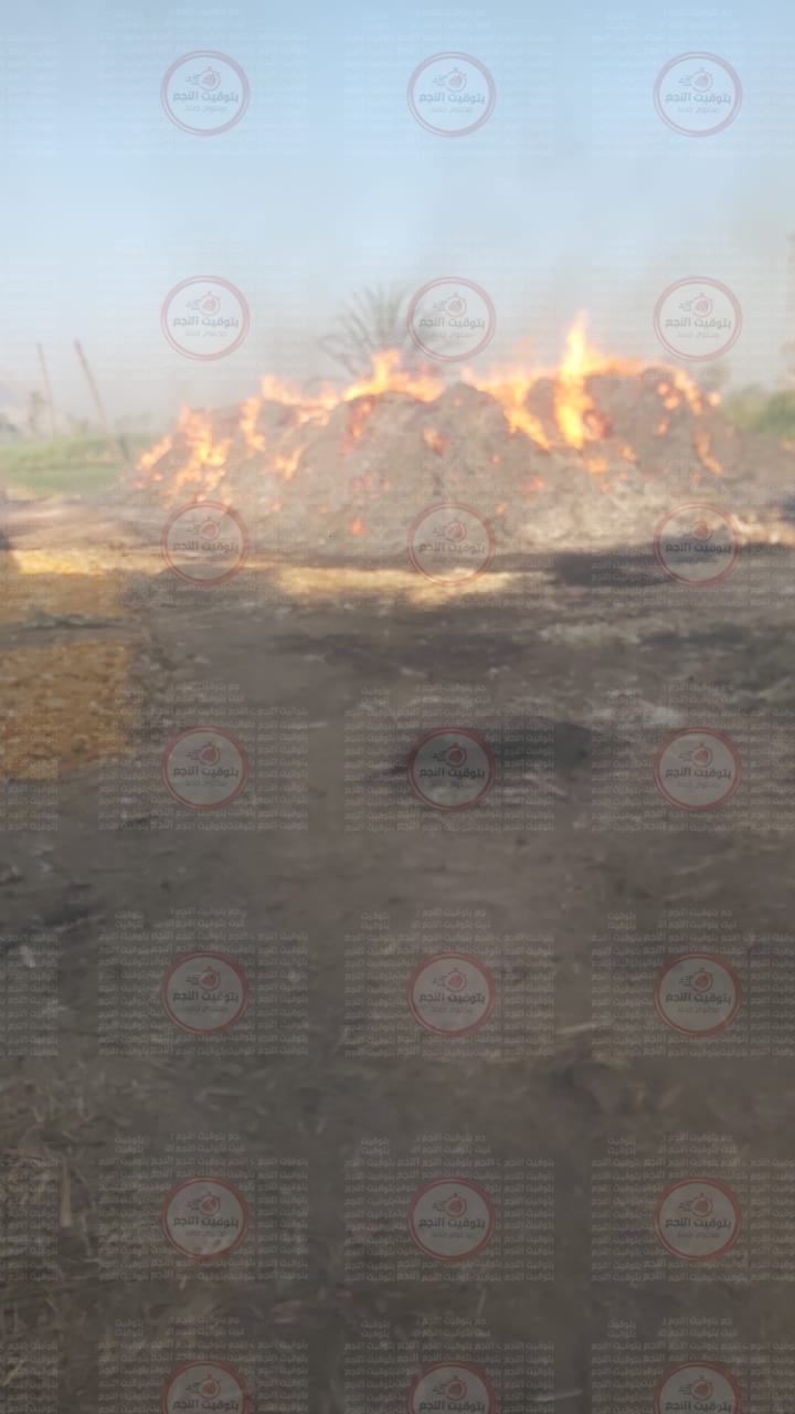 حريق يلتهم عصارة عسل أسود في قرية السلامية