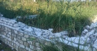 إزالة فورية لمخالفة بناء على أرض زراعية بقرية السلامية