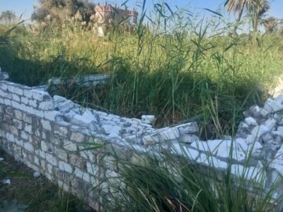 إزالة فورية لمخالفة بناء على أرض زراعية بقرية السلامية