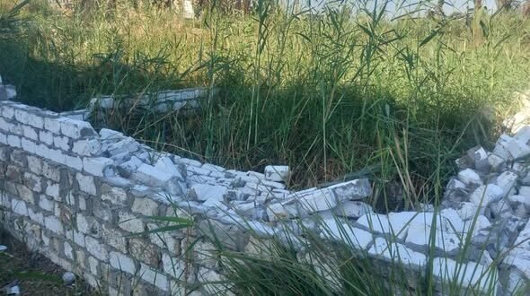 إزالة فورية لمخالفة بناء على أرض زراعية بقرية السلامية