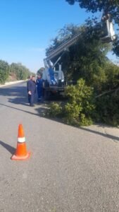 إنارة طريق قنا–الأقصر الزراعي