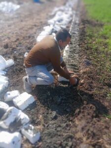 عملية الإزالة