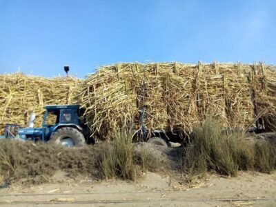 مقطورة قصب_أرشيفية