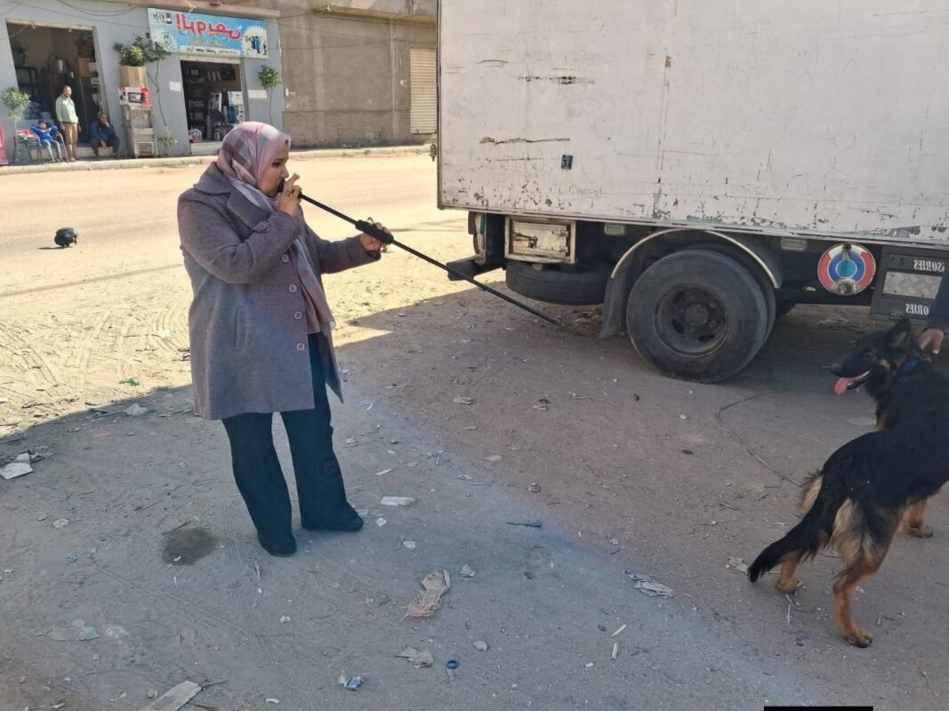 تحصين الكلاب بقنا