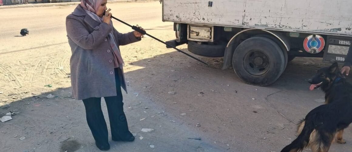 تحصين الكلاب بقنا