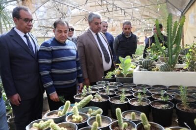 رئيس جامعة قنا يفتتح المجزر الآلي للدواجن