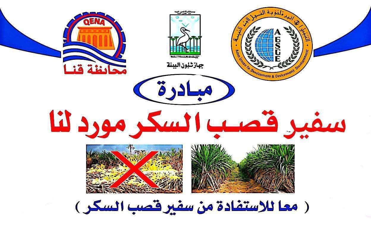 قنا تطلق حملة «لا لحرق القش»