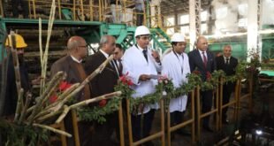 محافظ قنا يفتتح موسم عصير القصب