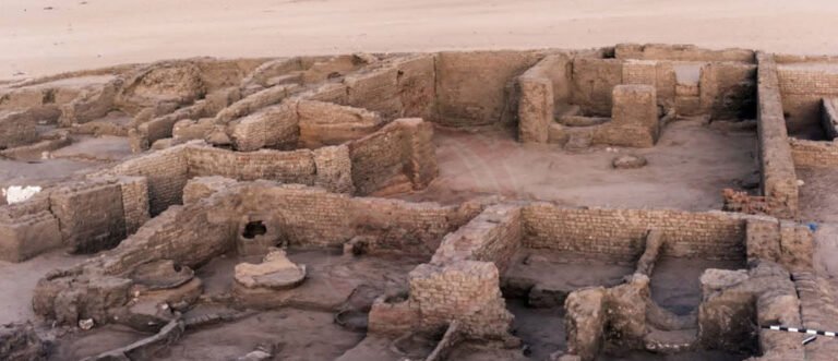 موقع شيخ العرب همام