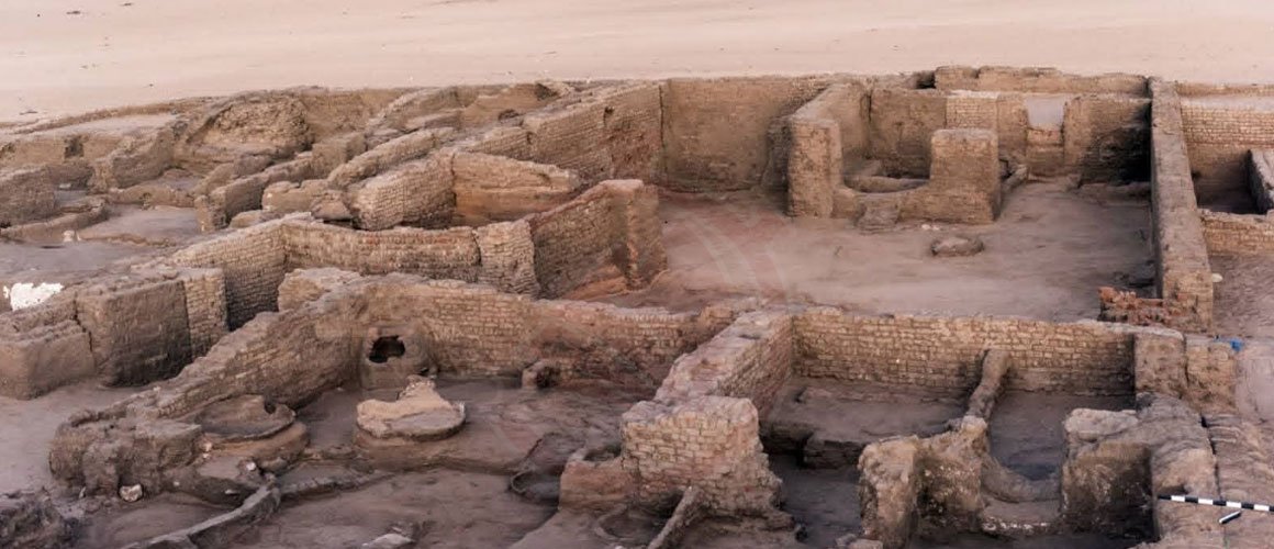 موقع شيخ العرب همام