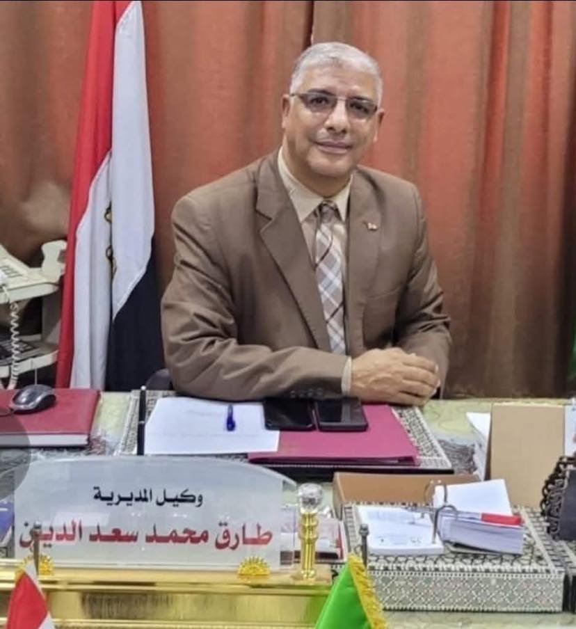 طارق سعد الدين