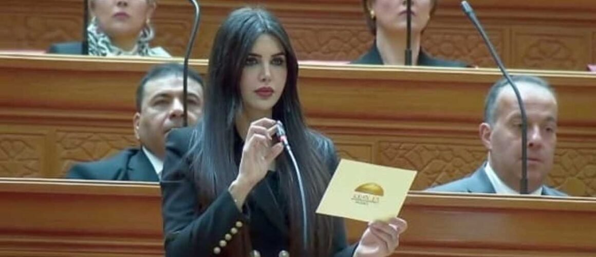 النائبة ريهام أبو الحسن